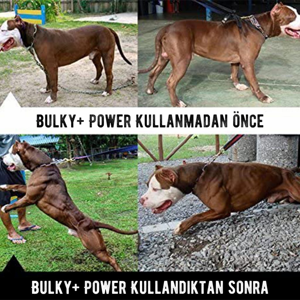 bulky-slider-05
